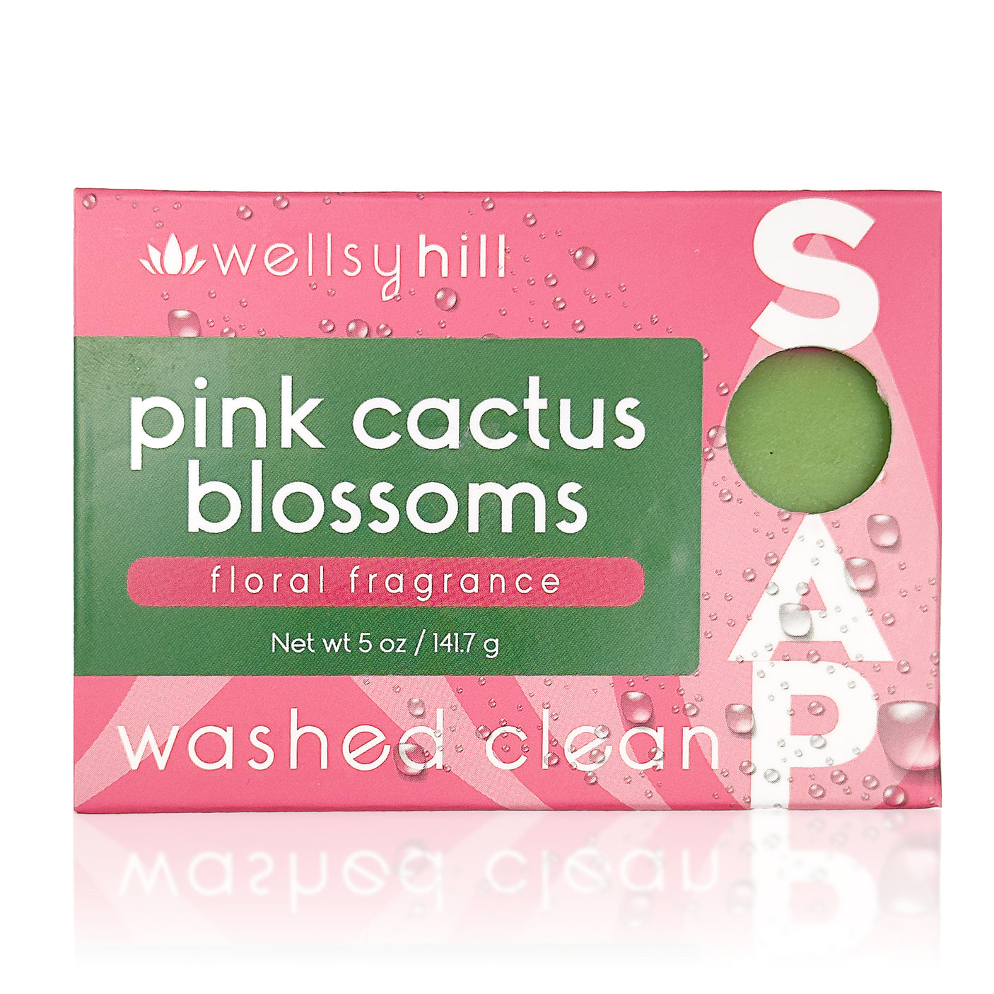 Pink Cactus Blossoms