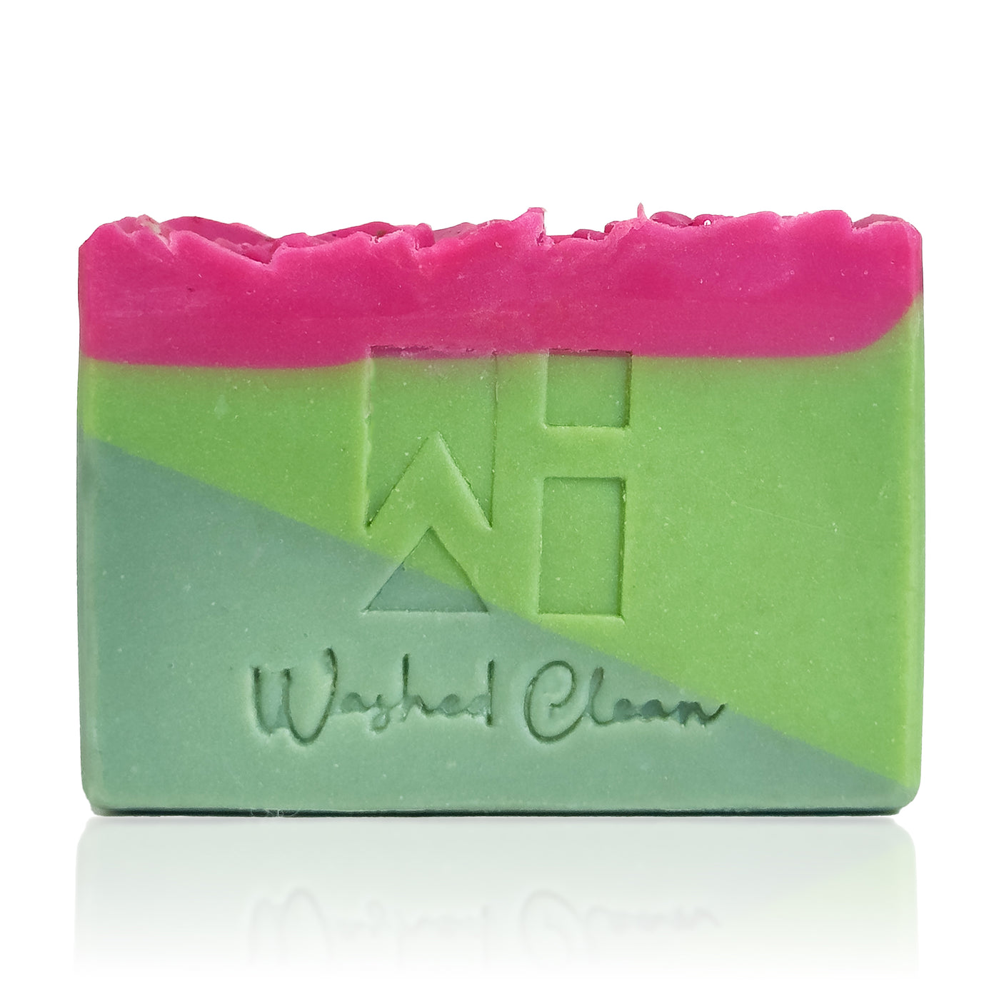 Pink Cactus Blossoms