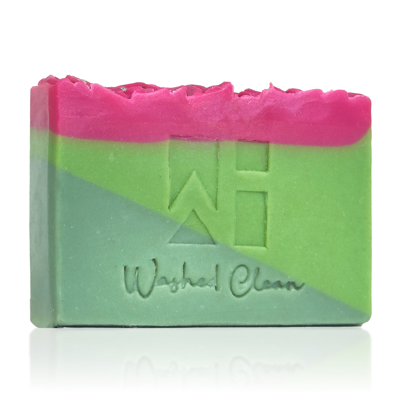 Pink Cactus Blossoms