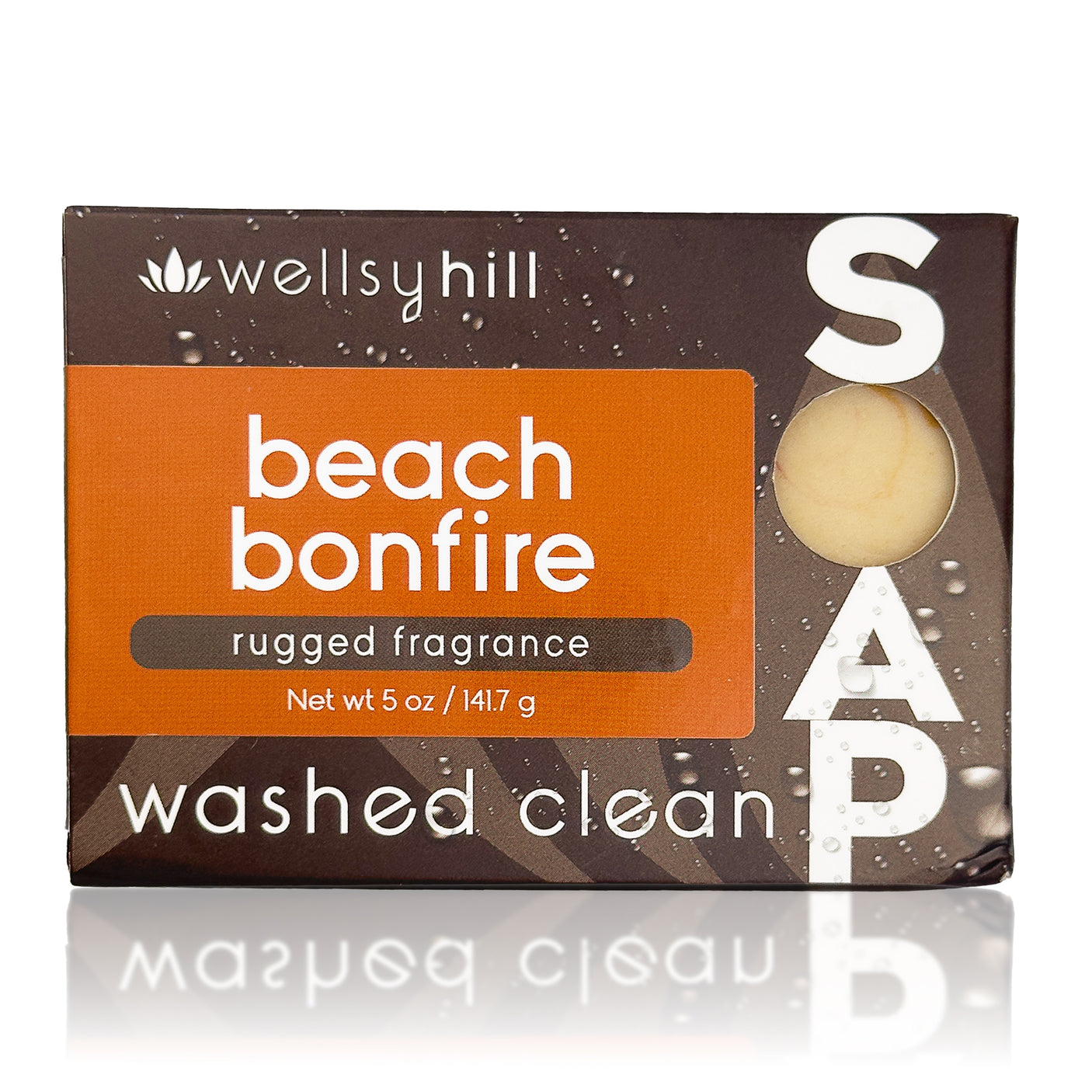 Beach Bonfire